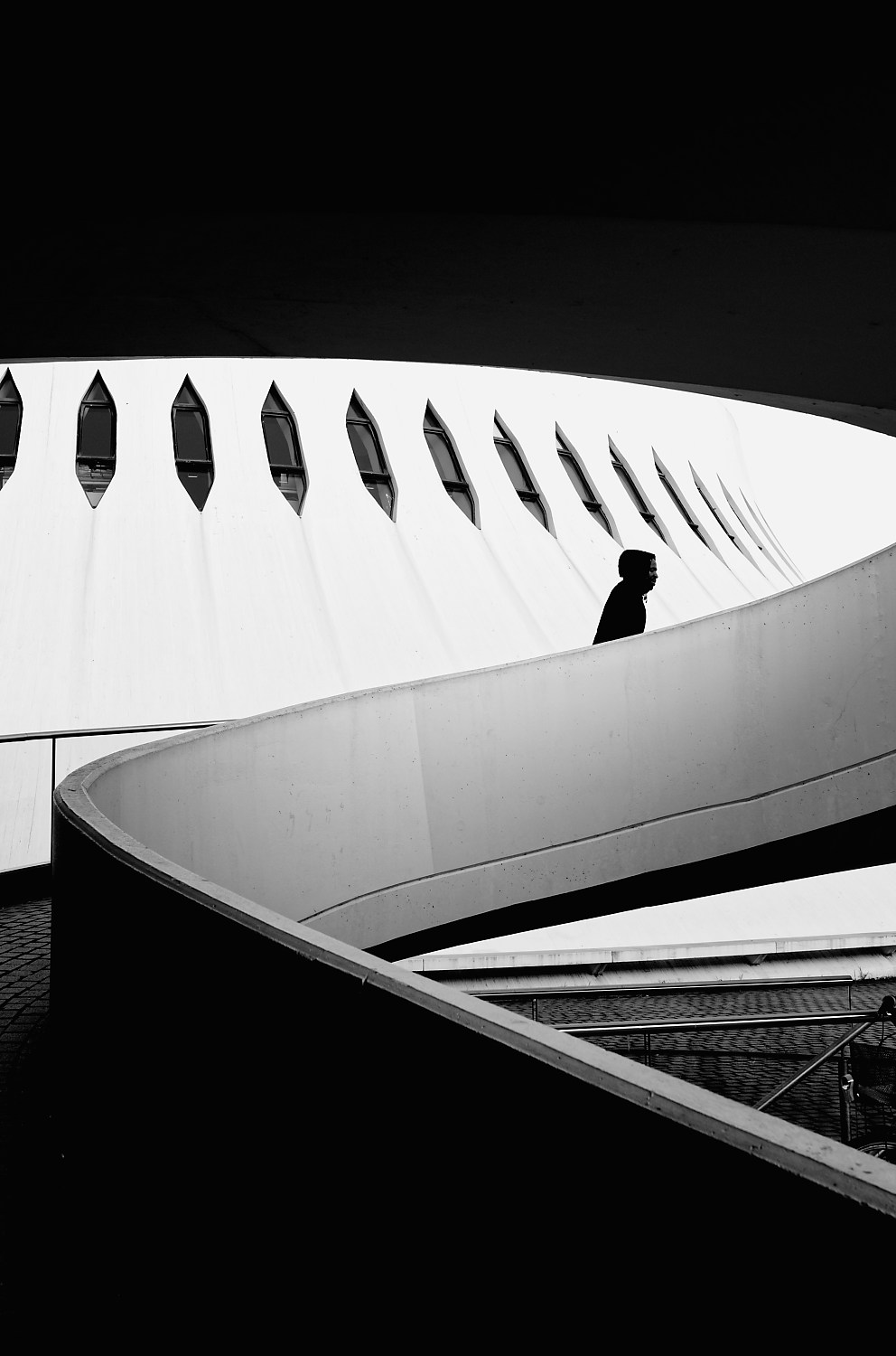 Manifest image — Human Presence in Geometry